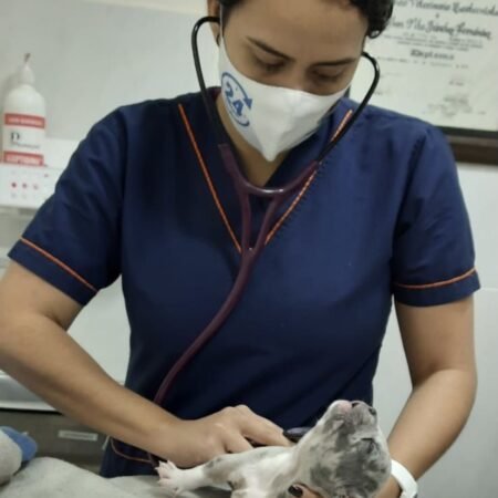 Consulta médica veterinaria