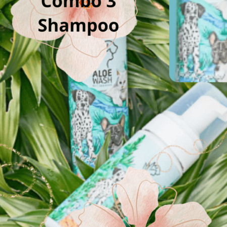 Combo Shampoo en seco x 3 unidades