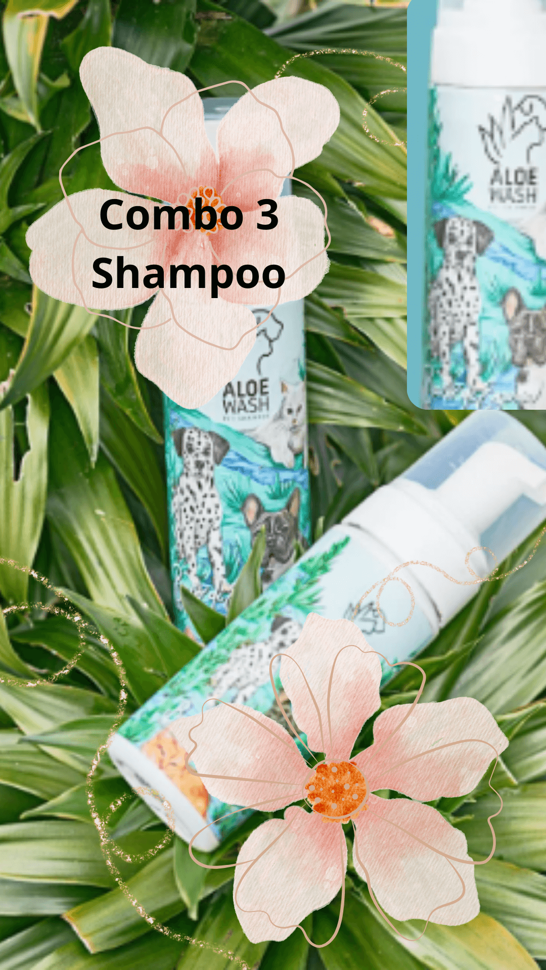 Combo Shampoo en seco x 3 unidades